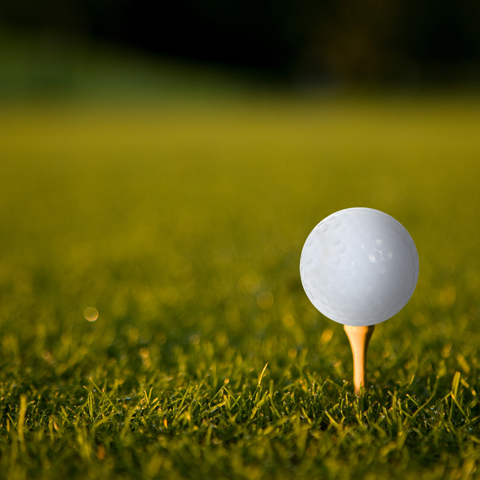 Golf Equipment Beginners - كرات جولف للتدريب الداخلي، معدات للمسافات